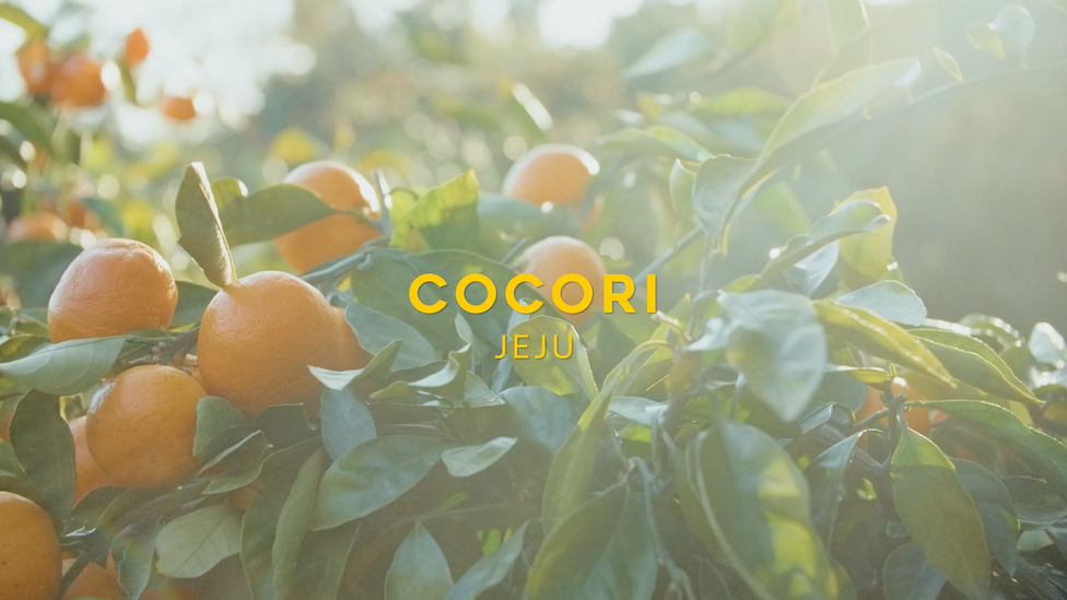 COCORI Brand film